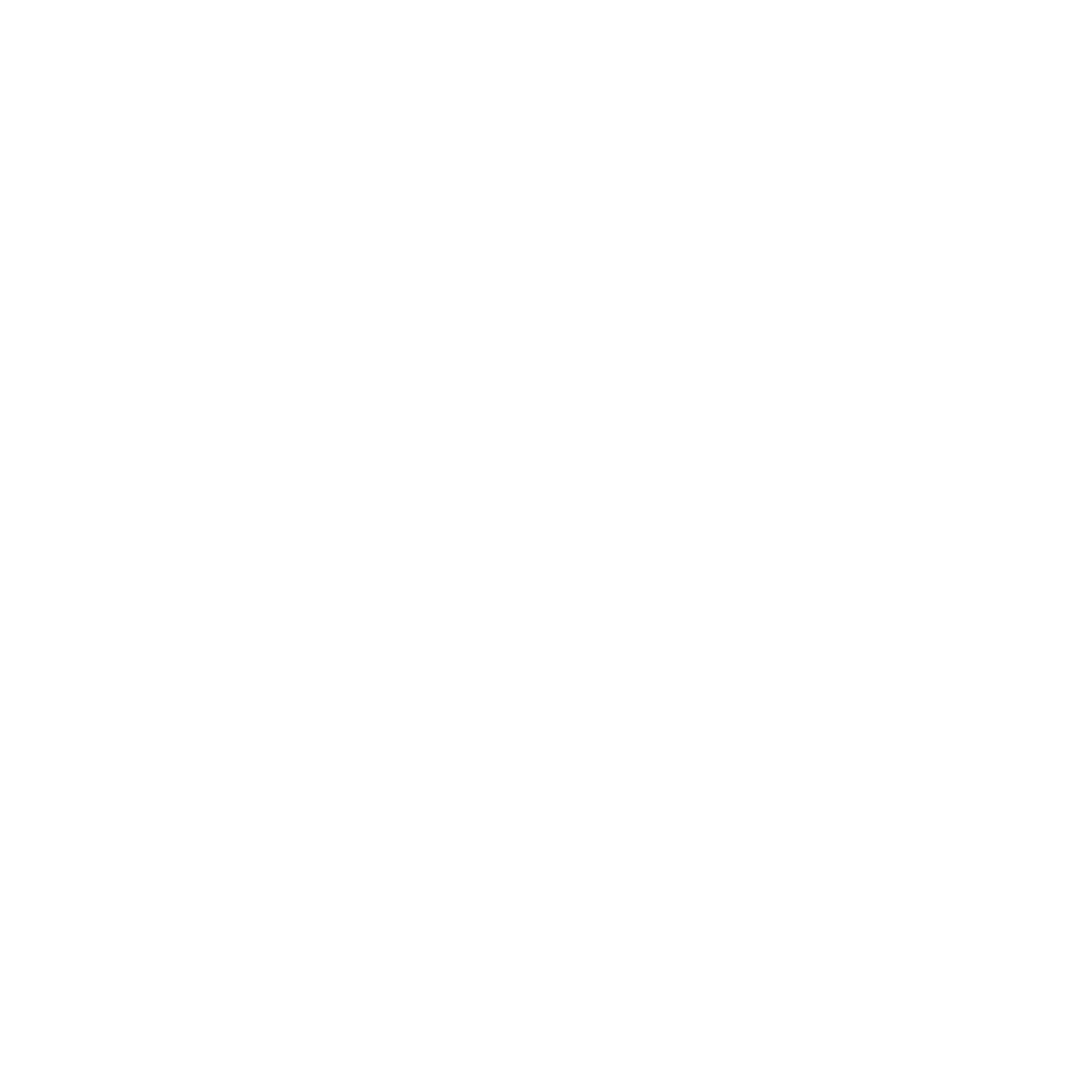 Safouane Chaouki